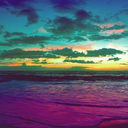 ferreiraluuhh avatar