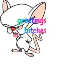 ferretcultist avatar