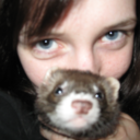 ferrets avatar