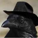 fertilizing-daffodils avatar