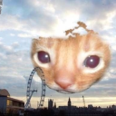 fervor-and-fire avatar