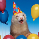 fervorferret-blog-blog-blog avatar