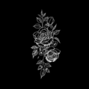 fesevval-blog avatar