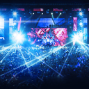 festival-wonderland avatar