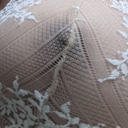 festivebeaver avatar