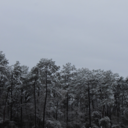 fetchinq-tacos avatar