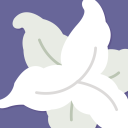 fethreehouseszine avatar