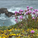 fetishformypain avatar