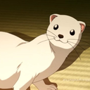 feuerfrettchen avatar