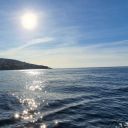 fewthoughtsbyme avatar