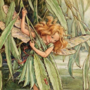 feywild-meadows avatar