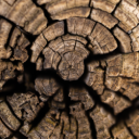 ff-mirrormirror avatar