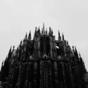 ffading-ffader avatar