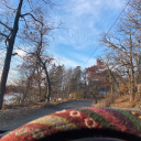 ffalling-fools avatar