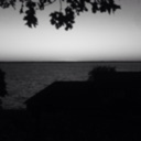 ffeelingsfade avatar