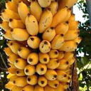 ffgbjjjm-blog avatar