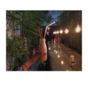 fforflowers-blog avatar