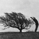 ffragile-mind avatar