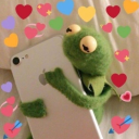 ffreire-frogs avatar