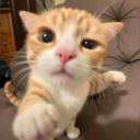 fic-for-readers avatar