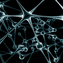 fick-den-fuchs avatar