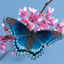 fics-and-quotes-andthelike avatar