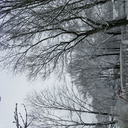 fictional-escapes avatar