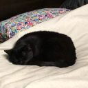 fictional-wanderer avatar