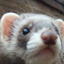 fictionalanna avatar