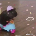 fictionalbxtch avatar