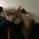 fictionalhoard avatar