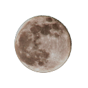 fictionalred-photos avatar