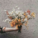 fictionbitch-6 avatar