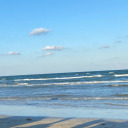 fictiondoesitbetter avatar