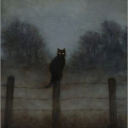 fictionfantom avatar