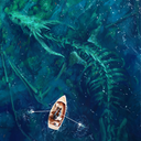 fictionismagic avatar