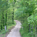 fictionwriting2 avatar