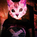 fiddlefricksticks avatar