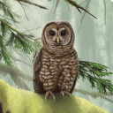 fieldnotesfarmer avatar