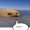 fieldoffeathers avatar