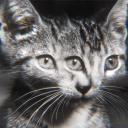 fieldsarebreathing avatar