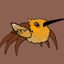 fierce-hummingcrab avatar