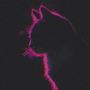 fiercesunshine avatar