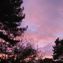 fierystarlights avatar