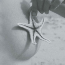 fifthventricle avatar