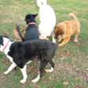 fiftyshadesofme avatar