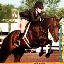 fiftyshadesofneighh avatar