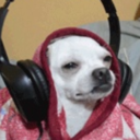 fiftytwopigeons avatar