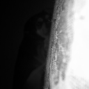 fifusdigsigsigsi avatar