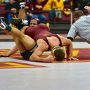 fig4connoisseur avatar